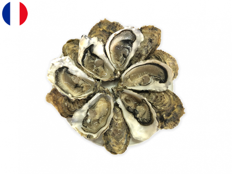 Oysters_Spéciales_Jérôme_Miet_N°2_x12_SOYST04