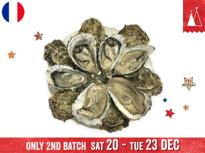 Oysters_Super_Spéciales_M_Jérôme_Miet_N°3_x12_2ND BATCH_SG_SOYST06