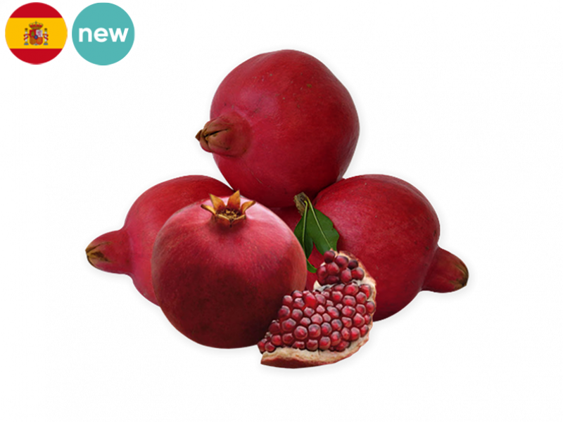 POMEGRANATE_PURPLE_QUEEN_FPOME01