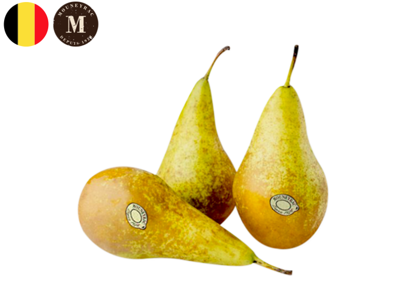 Pear_Conference_Belgium_Mouneyrac_FPEAR23