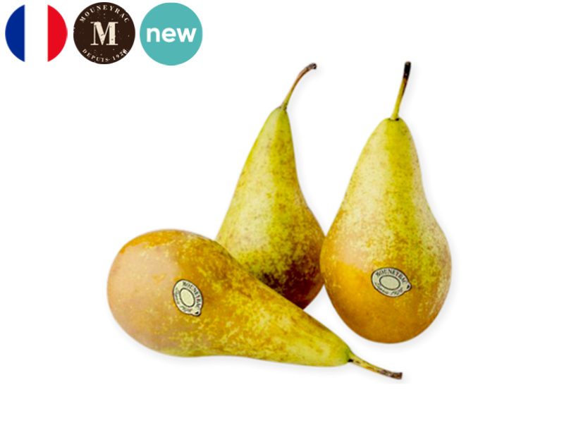 Pear_Conference_France_Mouneyrac_FPEAR28
