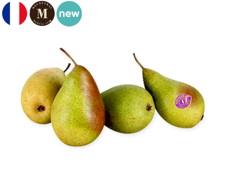 Pear_Louise_Bonne_ Mouneyrac_FPEAR30