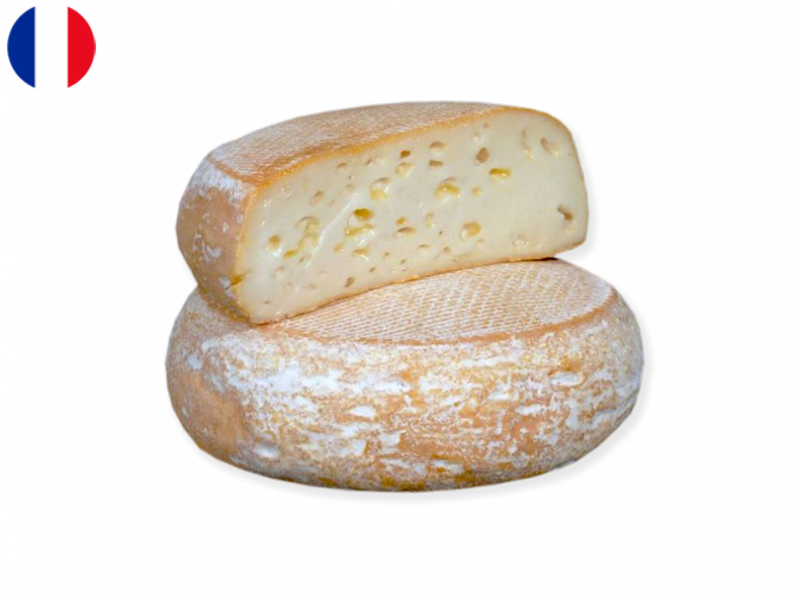 Petit_Fiancé_des_Pyrénées_CFIAN01