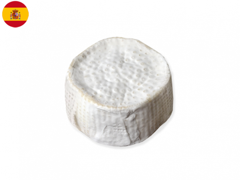 cheeseclub groceries delivery singapore petit nevat spanish cheese
