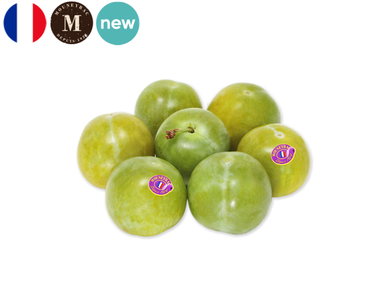 Plum_Reine_Claude_France_Mouneyrac_FPLUM23