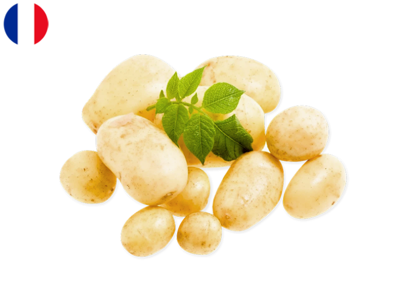 Potato_France_FPOTA40