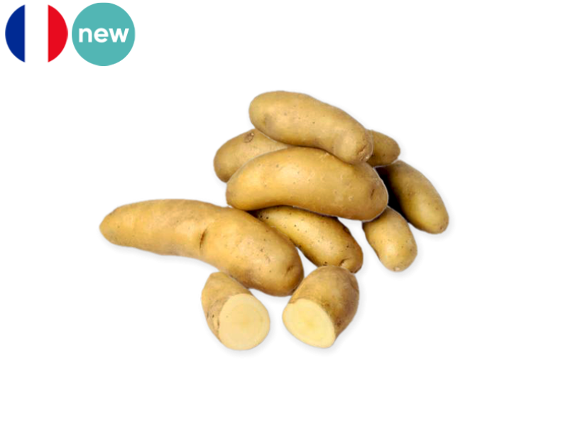 Potato_Ratte_France_FPOTA47