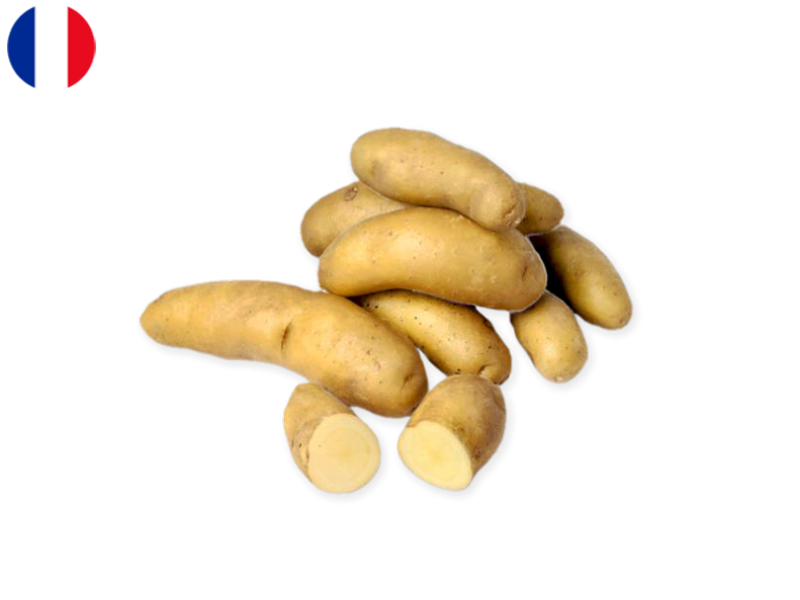 Potato_Ratte_France_FPOTA47