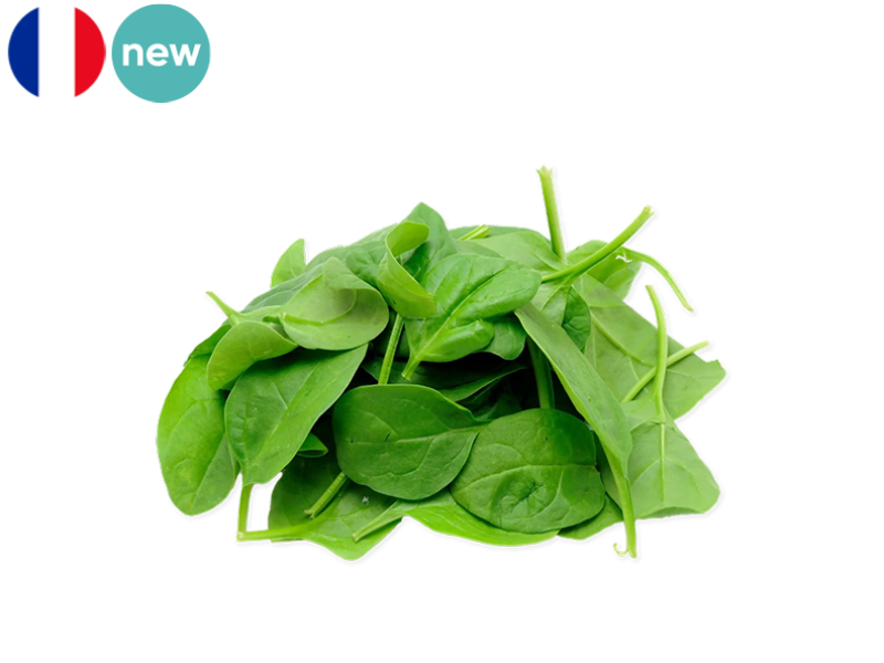 Spinach_Young_leaves_FSPIN04