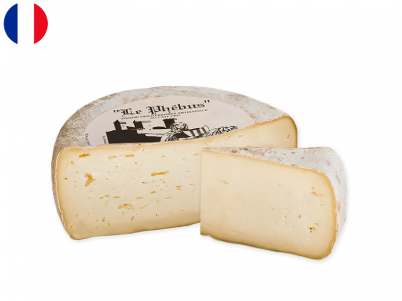 Tomme_Phébus_CTOMM32