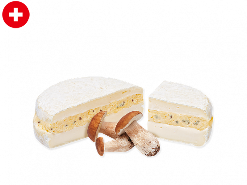 Tomme_Vaudoise_with_Bolete_Mushroom_CTOMM20 (2)