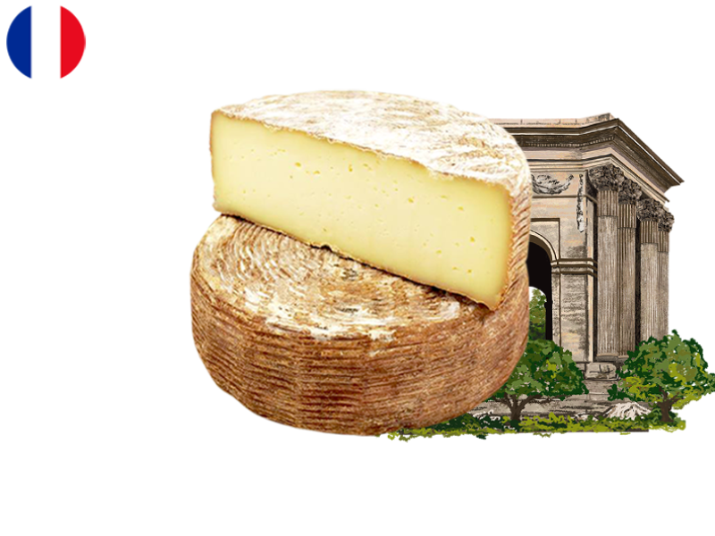 Tomme_des_Croquants_with_Nut_Liquor_CTOME09