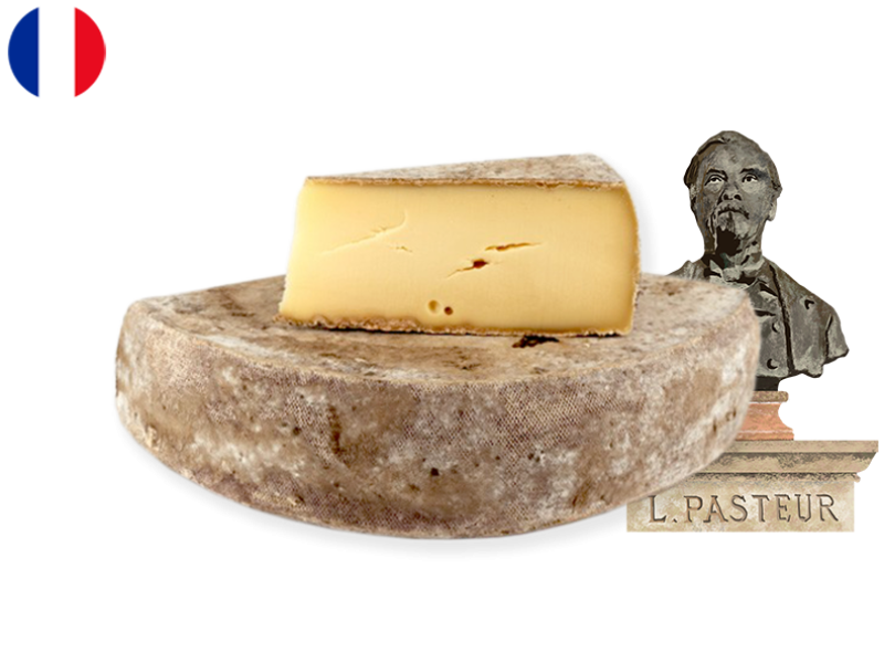 Tomme_du_JUra_CTOMM09