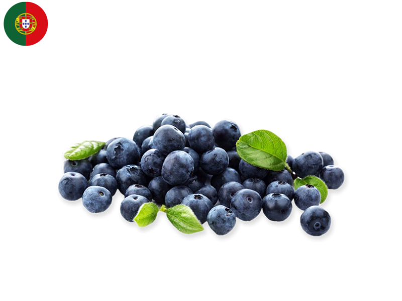 star_blueberry_FBLUE02