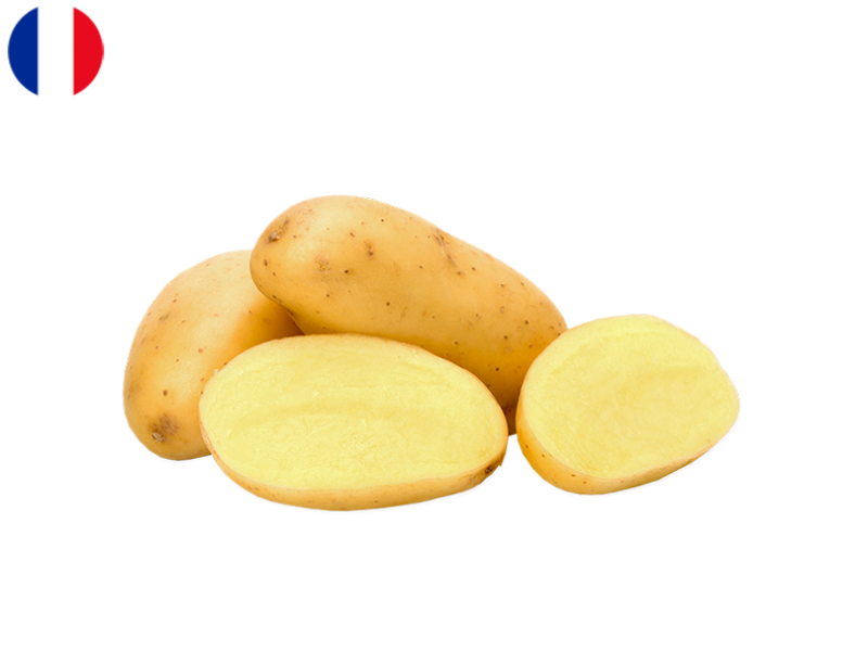 starlette_potato_FPOTA31