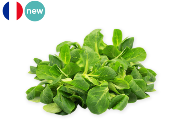 Lamb's Lettuce from France (Organic)