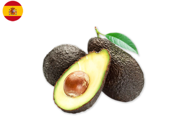 Avocado, Hass from Spain (Organic)