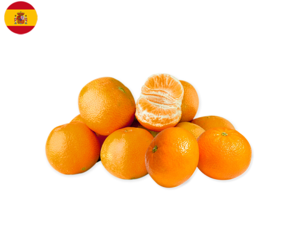 Mandarin, Orri from Spain (Organic)