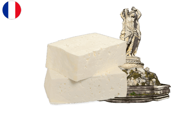Tome Fraiche