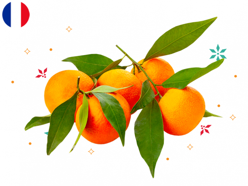 Corsican_clementines_FCLEM01 (1)