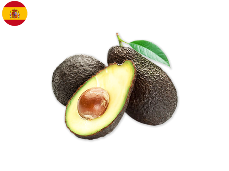 HASS_AVOCADO_FAVOC03