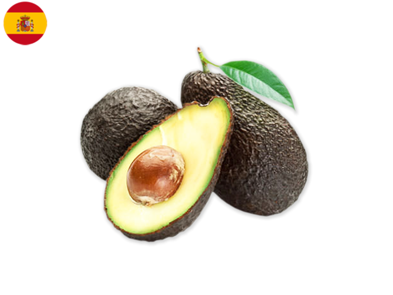 Hass_Avocado_FAVOC01