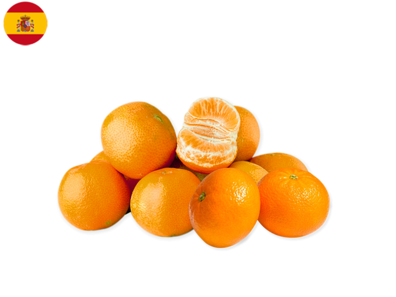 Mandarin_Orri_Spain_FMAND05