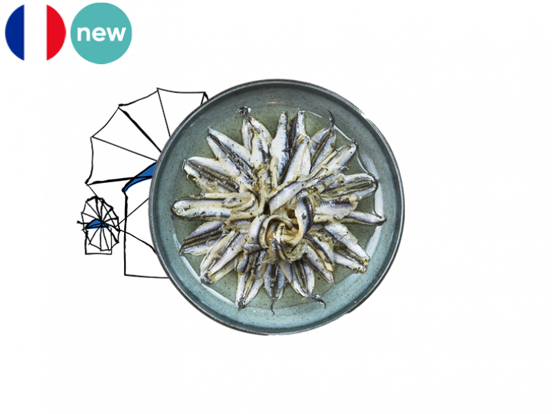 Marinated_Anchovies_with_Garlic_SANCH01