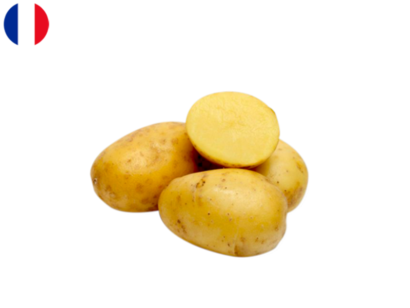 Organic_Allians_Potato_FPOTA03