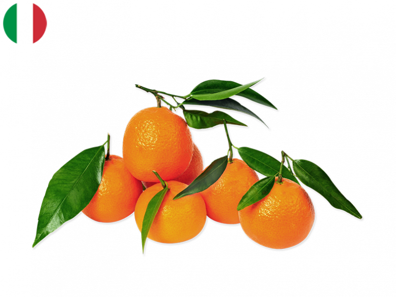 Organic_Sicilian_Clementine_FCLEM07