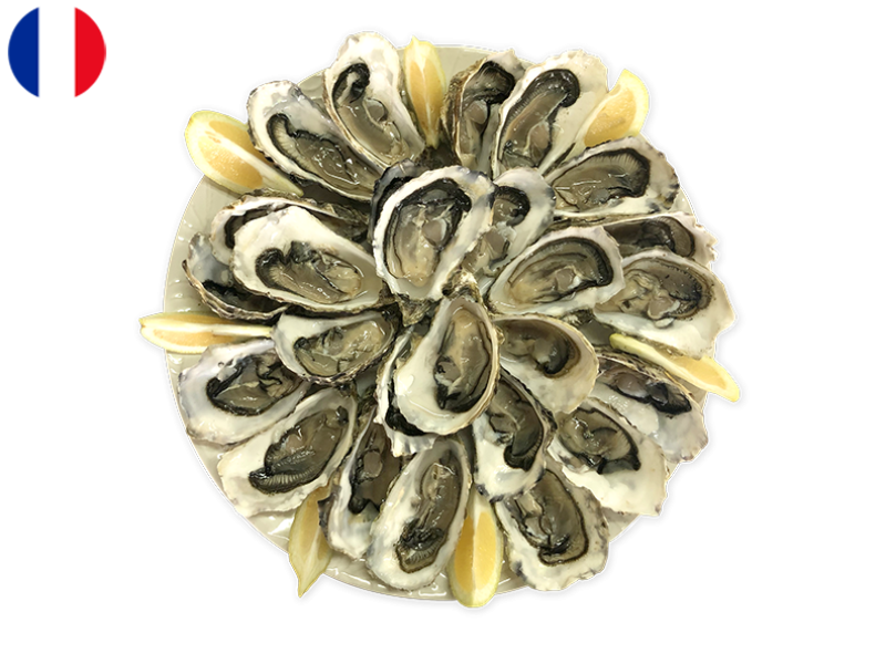 Oysters_Fines_de_Claire_Marennes_Olerons_N°3_x24_SOYST01 (3)