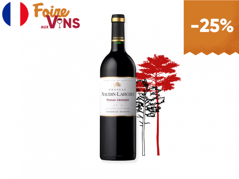 Pessac_Léognan_AOC_Château_Naudin_Larchey_2017_WREDX31