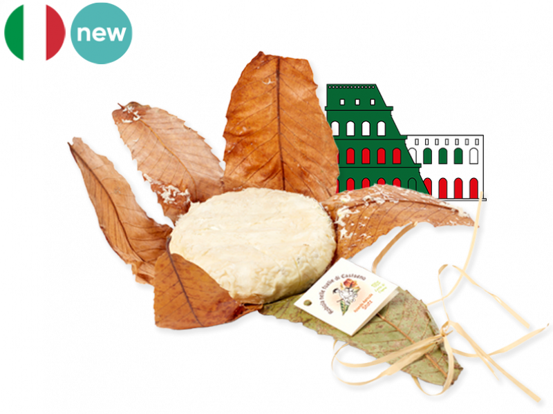 Robiola_in_Chestnut_Leaves_CROBI02